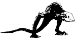 ISORIA | CRAWLER