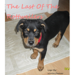 The Last of the Rottweilers