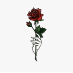 Roses! :)