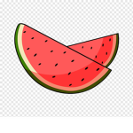 Watermelon university