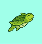 Tortoise Holding Corporation