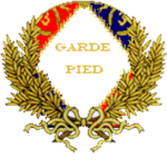 Foot Guard (TFE)