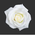 The Light Roses