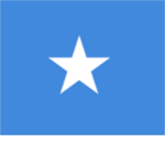 National Somali Network (De Antillen)