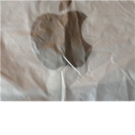 Apple stor 2