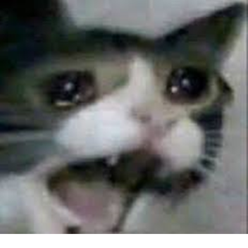 🥑Jiafei town rp🥺🥑