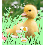 Đuck squad!!!!!!!!