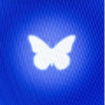 ! W