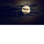 Sunnymoons