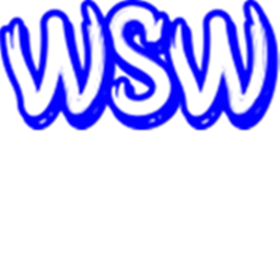 WSW // Main Arena // Wells Fargo // 2020 icon