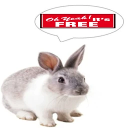 Obby for FREE STUFF icon