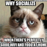 Grumpy Cats UwU