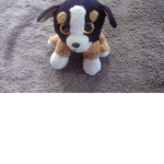Dog boyzzzzzzzzzzzz