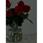 My Rosey sweethearts