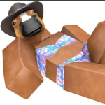 Sunny Roblox fans