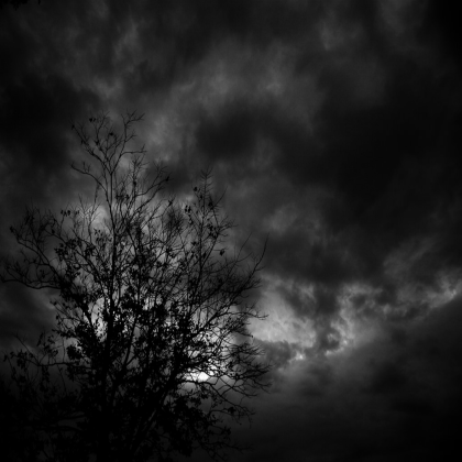 ✨ [Amazing!] Dark Forest Skybox I Designed By Me