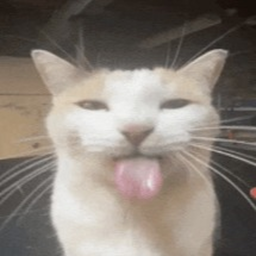 beans