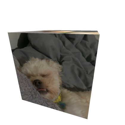 Suni