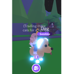 Team Roblox340