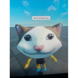 get to america for a better life simulator