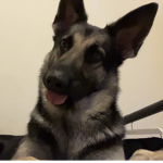 Ilovek1llua