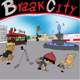 Projeto Braakcity