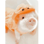 Preppy._.mia