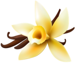Plain Vanilla