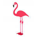 Flamingo Lovers