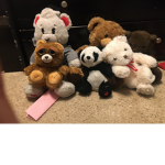 Teddies only!!!