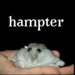 The Hampter ONLY World