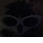 Kitty Cat With Clout Glasses