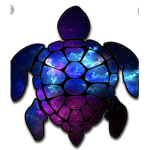 Galaxy turtle club