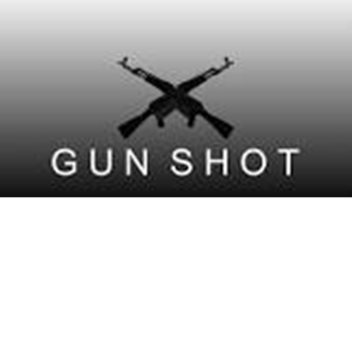 Gun Shot  (zombie update)
