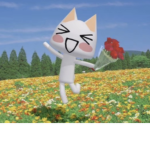 間抜けな子猫 | Silly Kittens!