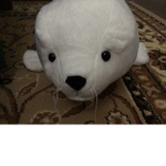 hello seal