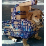 Bork, Bork Never Changes