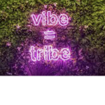The Vibes Club