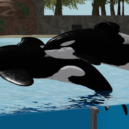 Parque Marino | Killer Whale Stadium
