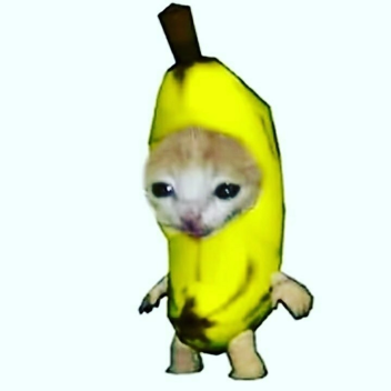 Yes