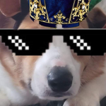 Official Corgi King Fam