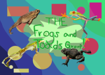 Frogs and Toads Group