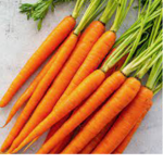 Carrots~