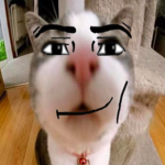 Cluelessت