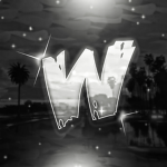 wzq's