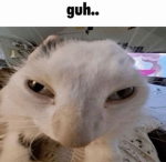 MEOWGICALLLSK