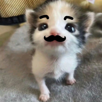 ♡