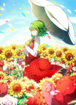 Kazami's garden