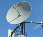 The Antenna Family!