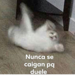FBI de Adopt Me